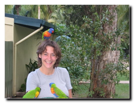 09 Vogelfuetterung